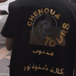 Chenoua Tours logo